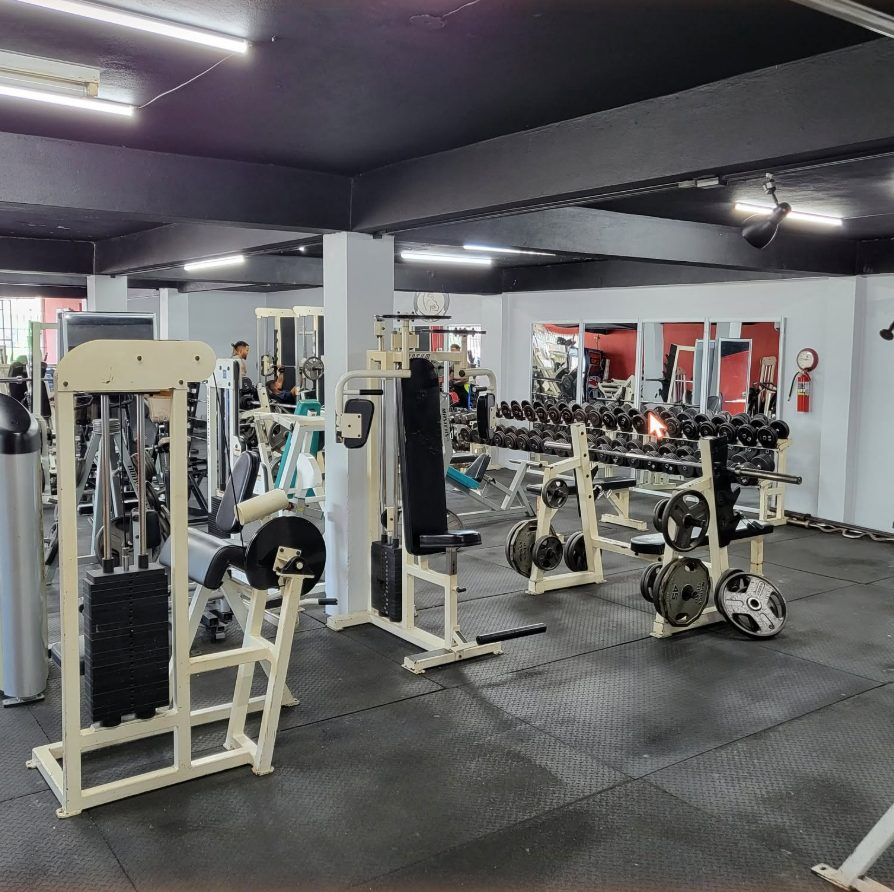 Área de máquinas y mancuernas en Physical Gym